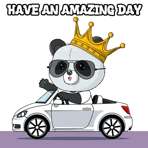 Panda Bear Wearing Crown and Sunglasses Driving Car