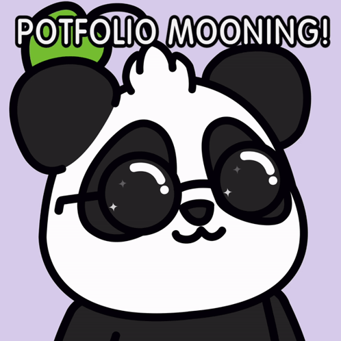 Panda Bear Wearing Sunglasses Saying Portfolio Mooning