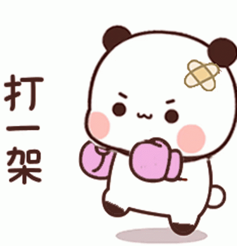 Panda Bear With Bandage Holding Boxing Gloves GIF
