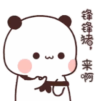 Panda Bear With Chinese Writing