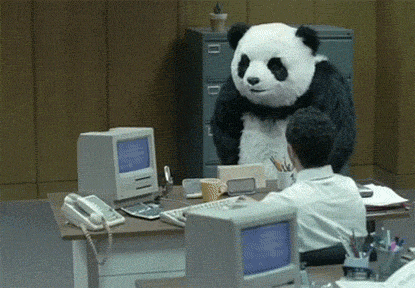 Panda Breaking The Computer GIF