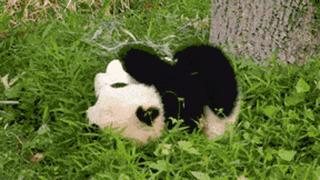 Panda Cub Grass Roll GIF