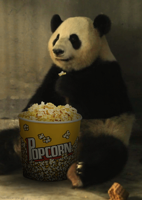 Panda Eating Giant Bucket Of Popcorn Meme GIF
