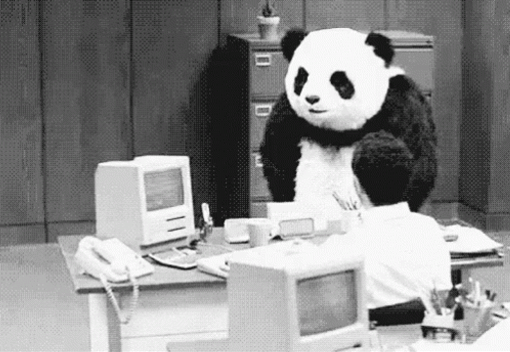 Panda Go Wild And Break Computer GIF