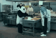 Panda Is Giving A Shot At Cooking GIF