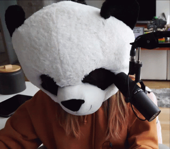Panda Mascot Not Like This Live Streaming GIF