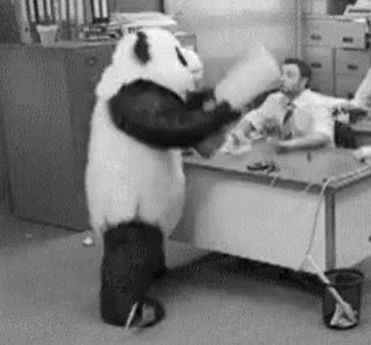 Panda Mascot Throwing Computer GIF