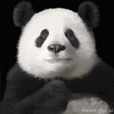 Panda Panda Love Gif GIF