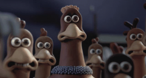 Panicking Chickens Trying To Stay Calm GIF