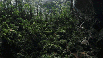 Panoramic Shot Jungle Goblin Cave GIF