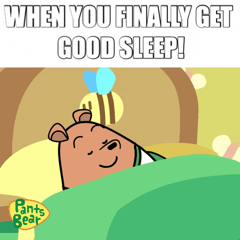 Pants Bear In Bed Sleeping Meme GIF