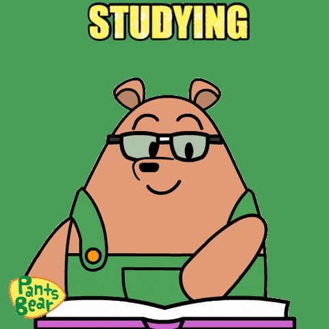Pants Bear Reading Book For Bar Exam GIF