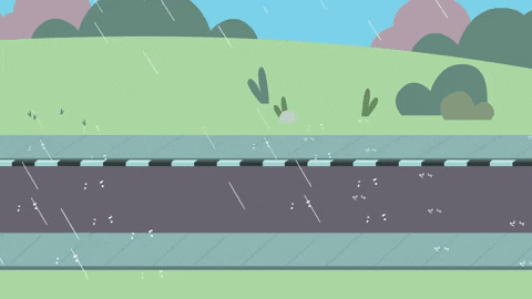 Pants Bear Walking In Monsoon Rain GIF