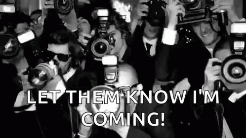 Paparazzi Camera Flash Meme GIF