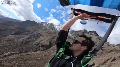 Paragliding While Watching Birds GIF