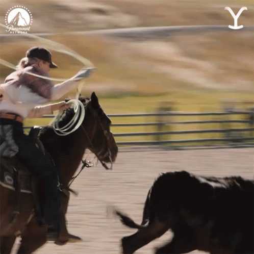 Paramount Logo Behind Cowboy and Bull