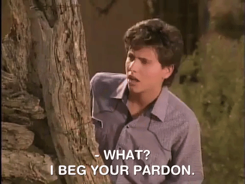 Pardon Me Hey Dude Ted Mcgriff GIF