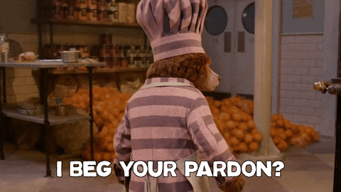 Pardon Me Paddington Bear GIF