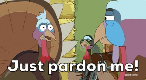 Pardon Me Turkey From Rick And Morty GIF