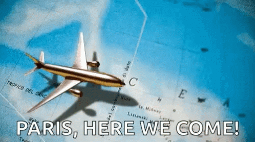 Paris Here We Come GIF
