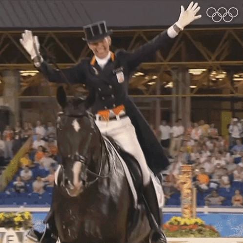 Paris Olympics 2024 Horse Riding GIF