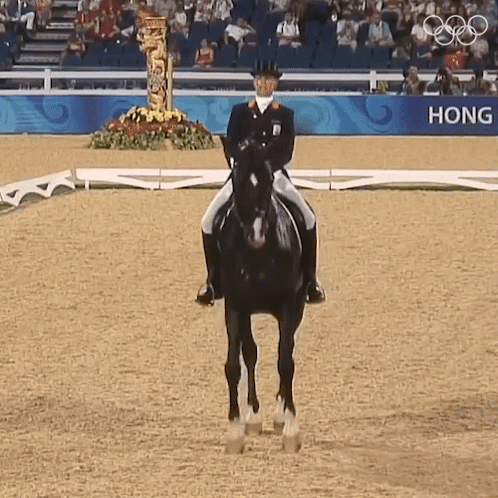 Paris Olympics 2024 Horse Stomping Feet GIF