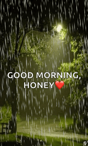 Park in the Rain Good Morning Honey