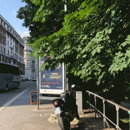 Park Mexico Buenos Dias GIF