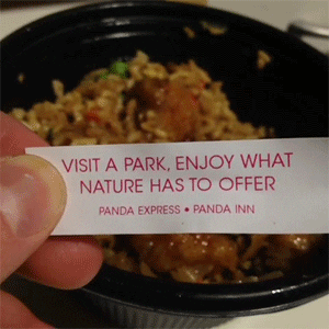 Park Nature Fortune Cookie GIF