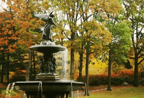 Park Water Fountain GIF