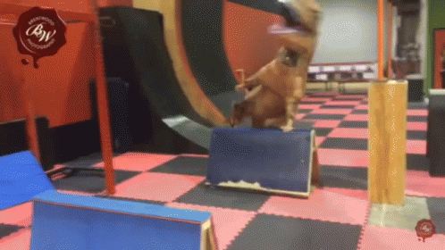 My Mood Parkour GIF