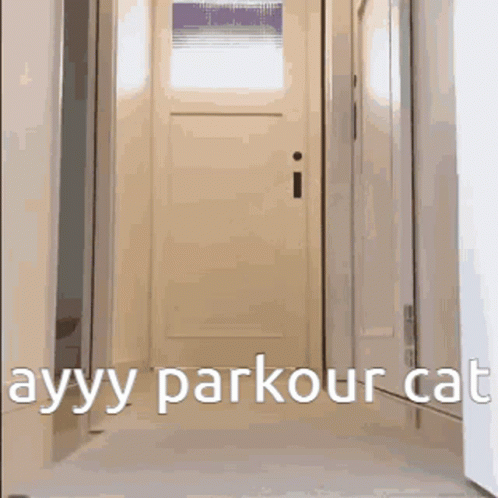 Kitty House Parkour GIF