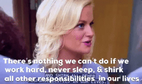 Parks And Rec Theres Nothing We Cant Do GIF