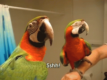 Mother Child Parrot Shh Gesture GIF