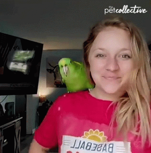 Parrot 491 X 498 Gif GIF