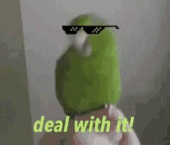Parrot Dancing With Emoji Glass GIF