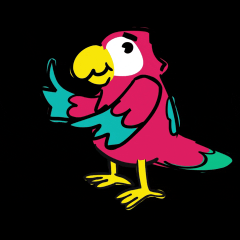 Parrot Macaw Birds GIF