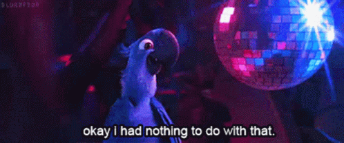 Parrot Saying Okay I Had Nothing To Do With That