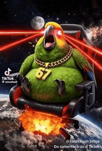 Parrot Wearing Number 67 Necklace Sitting In Chair GIF