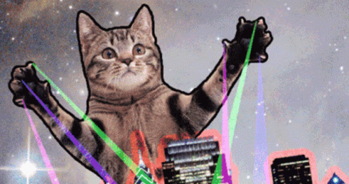 Laser Party Cat Dance GIF