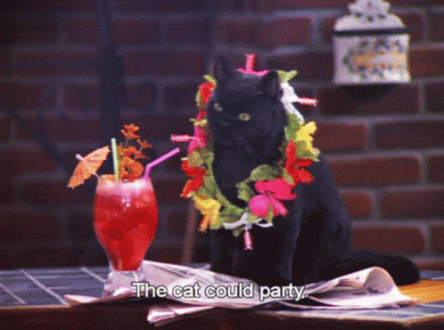 Black Party Cat Dance GIF