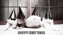 Party Cats Cute Happy New Year GIF