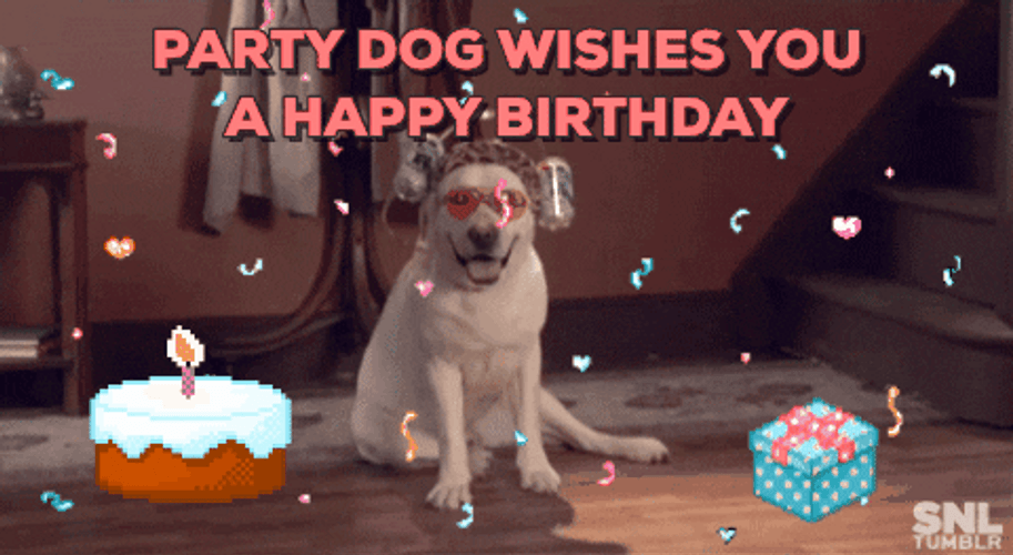 Party Dog Wishes You Happy Birthday GIF