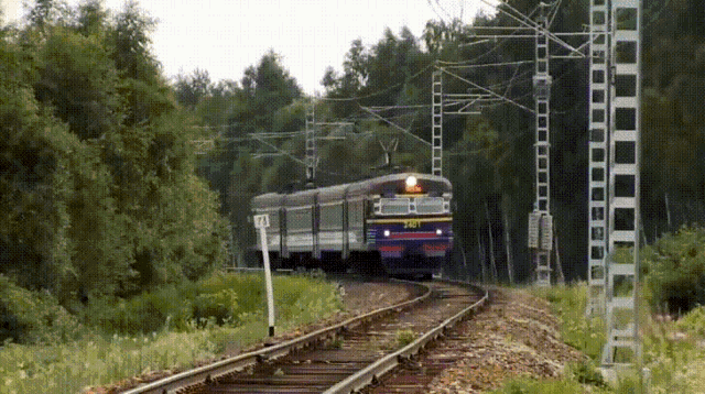 Party In The Train GIF