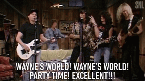 Party On Wayne Rocking On GIF