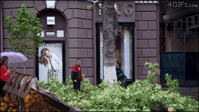 Passing Girl With Umbrella Almost Hit GIF