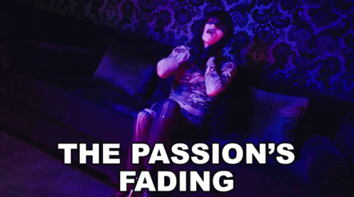 Passion's Fading Seeyouspacecowboy Band GIF