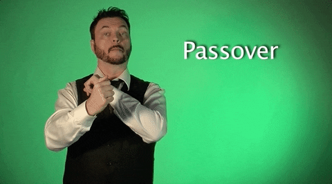 Passover In Sign Language GIF