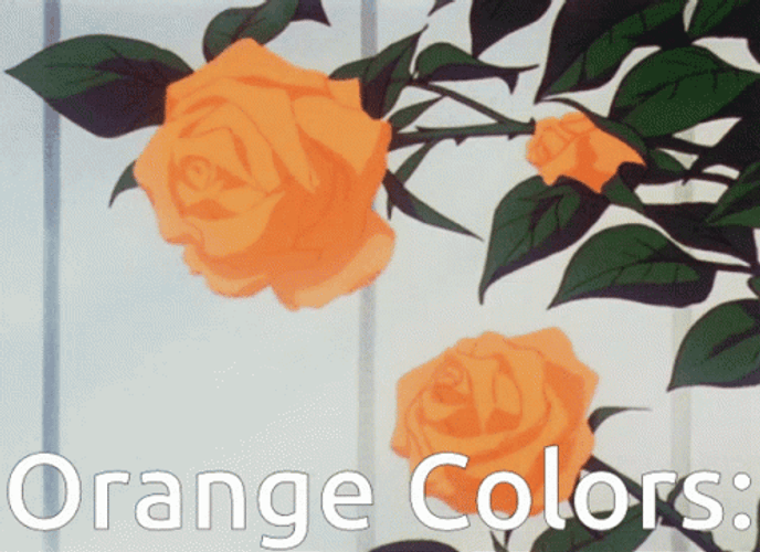Pastel Orange Aesthetic Falling Rose Petals GIF