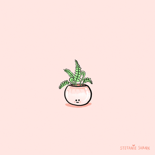 Pastel Orange Aesthetic GIF